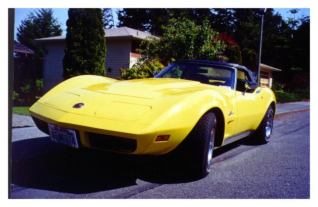 David_Patricia's_1974.jpg (bytes)