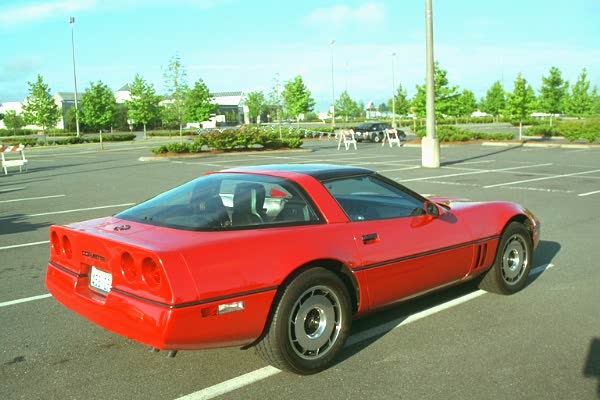 Joanne_Brian's_1985.jpg ( bytes)