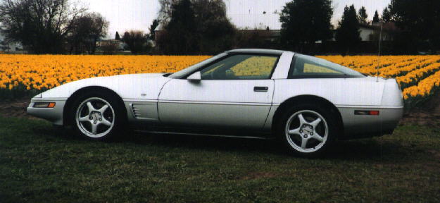 Dick's_1996_CE.jpg ( bytes)